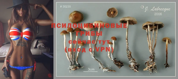 синтетический гашиш Каменск-Шахтинский