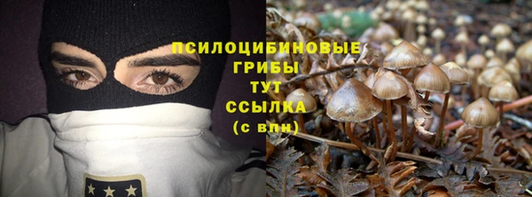 синтетический гашиш Каменск-Шахтинский