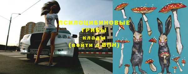 a pvp Каменка
